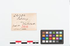 Etiketten zu Bronzebrillenfibel (NHMW-PRAE-024784)